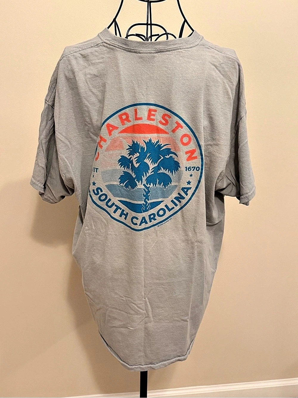 Unisex Charleston South Carolina Palm Tree Graphic Gray Crew Neck T-Shirt Size L